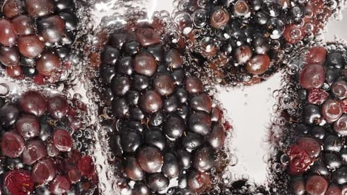 Blackberry berries covered with bubbles in water, top view, close-up.