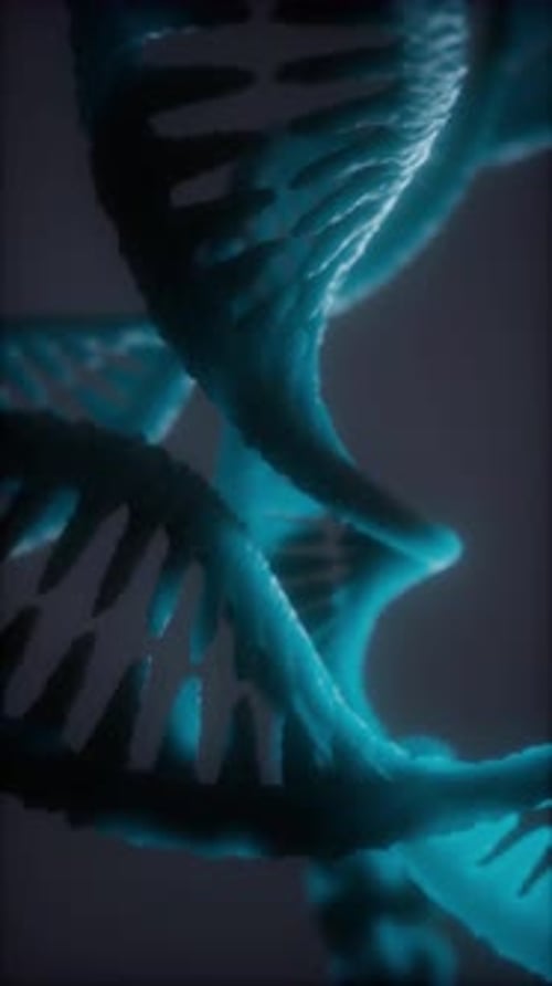 Loop Double Helical Structure of Dna Strand Closeup Animation