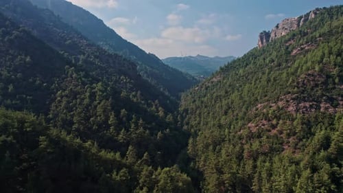 Scenic Mountain
