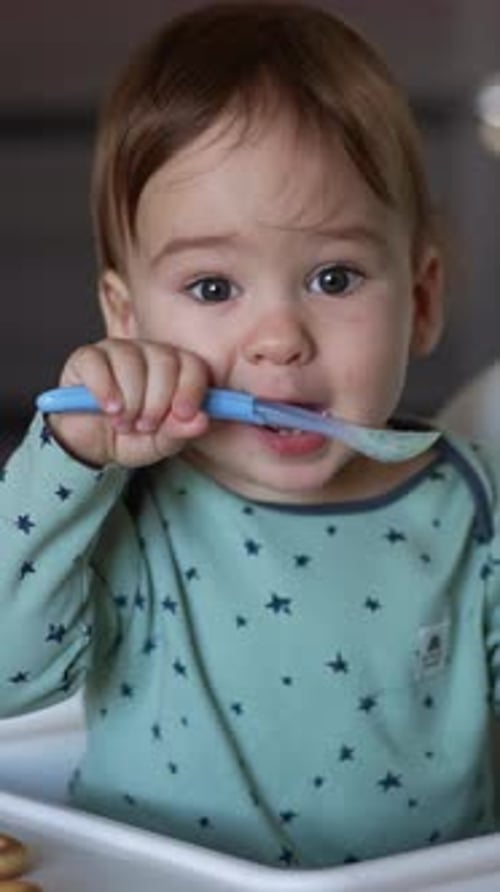 Baby Brushing Teeth With Toothbrush in High Chair