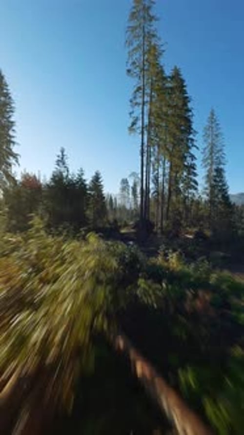 Vertical Video