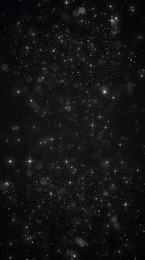 Vertical White Sparkling Dust Particles Loop Overlay