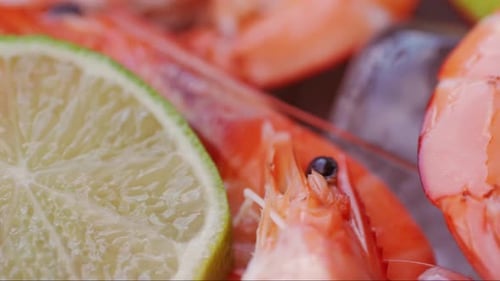 Frozen Shrimp on Ice in Restaurant Seafood on the Counter Fish Market Box with Prawns Shrimp in the