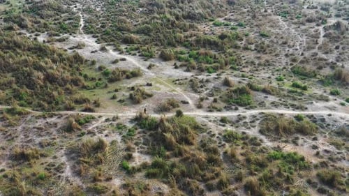 Aerial view of field with paths, Bangladesh.