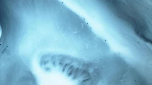 Captivating of Swirling Substances in Artistic Mix