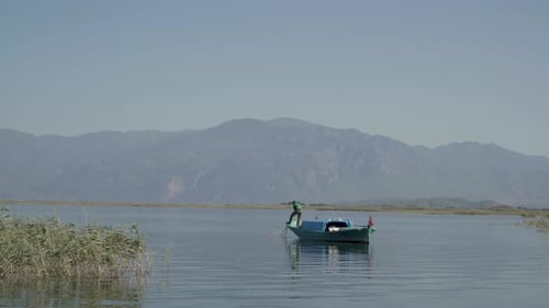 Fisherman Fishing With Net In The Lake Between The Reeds 4K