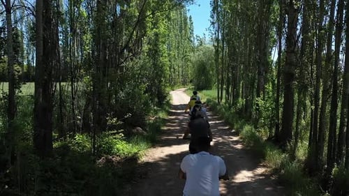People Riding Bikes Among Trees With Aerial Shot 2