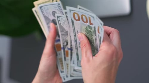 Vertical Footage Close Up Woman Hands Counting Cash Money 1000 American Dollars Banknotes Income