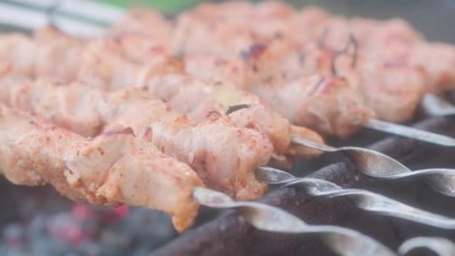 Succulent Pork Kebabs Cooking on a Barbecue