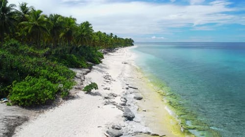 Tropical Beach on Fuvahmulah Island with Palm Trees Aerial View of Paradise Resort