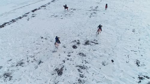 Horses Galloping Across Snow Covered Field Aerial