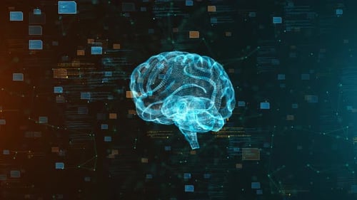 Digital Brain Interface with AI Network and Data Connections