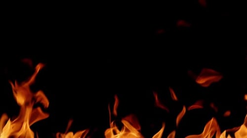 Feuer brennt Eine helle brennende Flamme auf einem schwarzen Hintergrund Feuer in Zeitlupe Wall of Real Fire