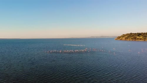Drone Forward Video