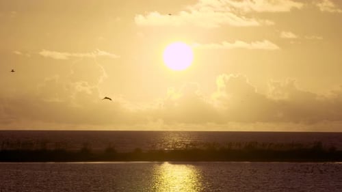 warm and tropical beach ocean sunset with flock of pelican silhouettes flying