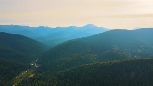 Vue aérienne d'une soirée brumeuse sur les hauts sommets avec des pinèdes foncées au coucher du soleil