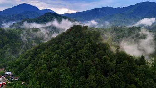 Aerial shot of forest landscape with fog and mountains