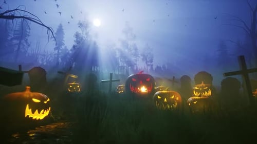Halloween Kürbisfeld HD