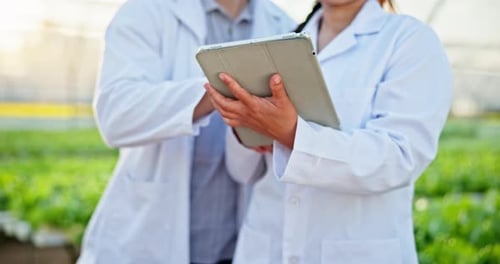 Scientists Reviewing Research Data on Tablet in Greenhouse