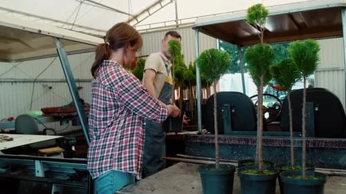 Woman and Man Working at Greenhouse Examining Plants
