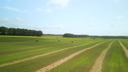 Round Hay Bales on the Green Field