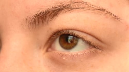 Nahaufnahme des hellbraunen Auges einer jungen rothaarigen Frau mit Sommersprossen, wegschauend, ohne Make-up o