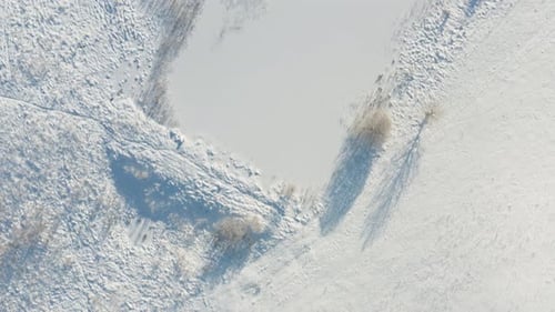 Flying over a snow covered field and evergreen forest in winter landscape. Aerial top down drone vie