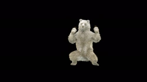 78 Hip-Hop-Tanzbär 4K