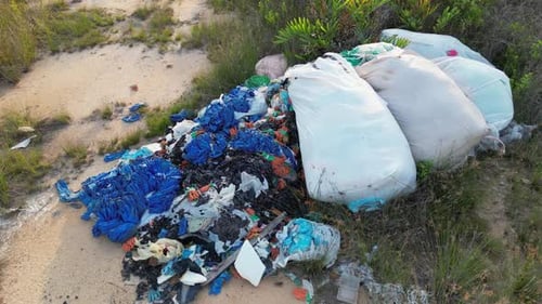 Accumulation of Plastic and Debris Pollutes Nature