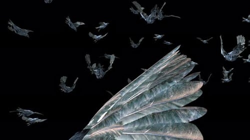 Abstract Crystal Birds Flying on Black Background