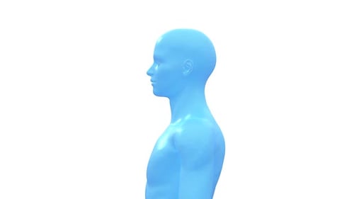 Cabeza y torso humanos con estructura metálica azul
