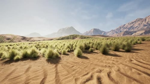 Desert Landscape Between Mountains with Low Bushes in Bright Daylight