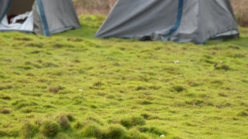 Tent in forest stock footage