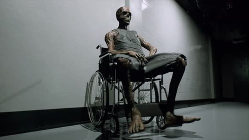 Wheel Chair, Mummy, 3d, Corridor