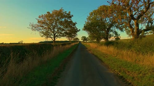 Moving Along Countryside Road Surrounded By Trees and Grass POV Traveling Down Rural Path Lined with