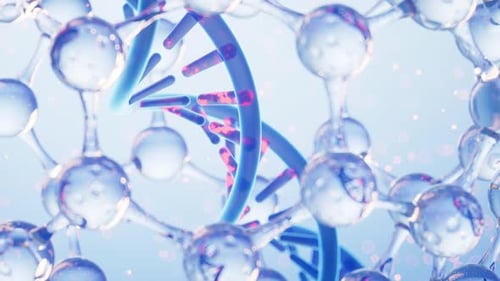 Rotating DNA Double Helix and Molecular Structure Loop