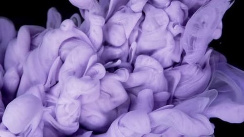 Abstract Purple Paint Swirling on Black Background
