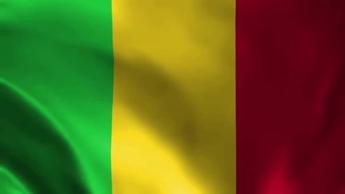 Realistic Mali Flag Waving Animation