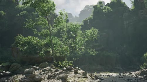 Une rivière sereine qui traverse une jungle tropicale vibrante