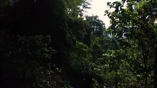 High angle shot through green vietnamese jungle in Vietnamese Highlands on a cloudy day.