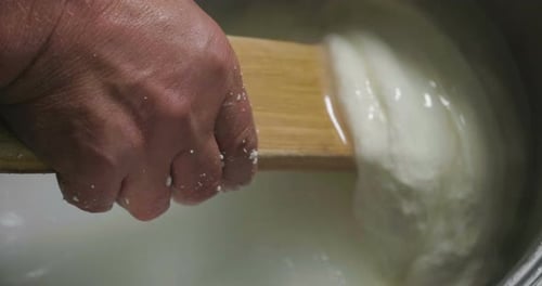 A homemade cheese producer, produces handmade mozzarella with fresh quality milk from her cows she