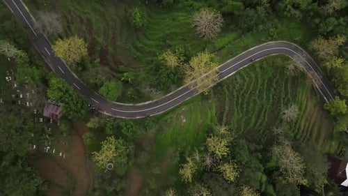 Beautiful aerial view of the tropical country of Indonesia, winding roads lined with forests, rice f