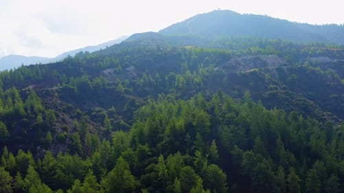 Aerial drone view over the tree canopies of a mountain forest