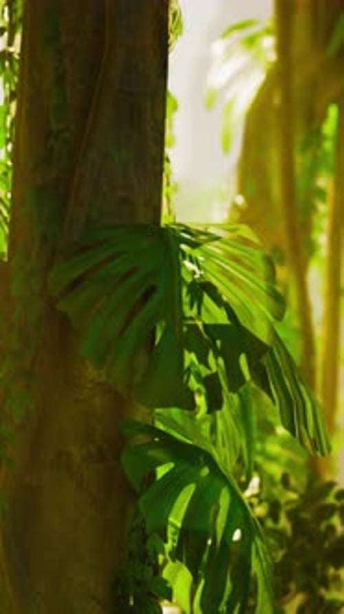 Lush Green Tree in Vibrant Forest
