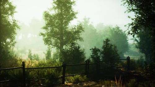 A Wooden Fence in the Midst of a Lush Forest