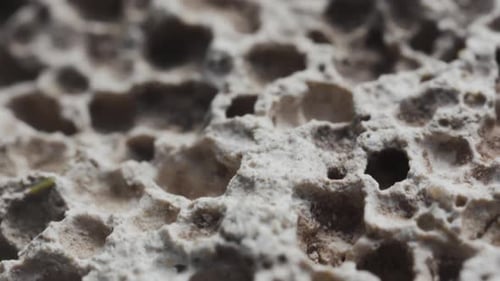 Close-up of Porous Textured Surface