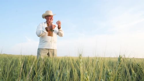 An Old Grandfather in an Embroidered Jacket Holds Young Wheat Sprouts in the Middle of a Field