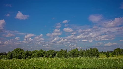 Blue sky green grass meadow time-lapse with forest in the background.