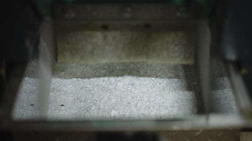 Closeup Shredded White Plastic Falling in Container in Industrial Equipment Closeup Processed
