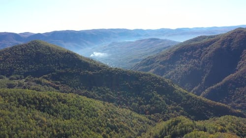 Aerial view of colorful deciduous forest in autumn